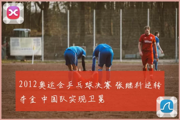 2012奥运会乒乓球决赛 张继科逆转夺金 中国队实现卫冕