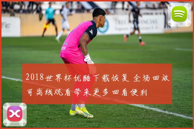 2018世界杯优酷下载恢复 全场回放可离线观看带来更多回看便利